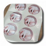 custom_vinyl_sticker_label_02